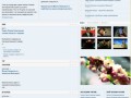 Сайт за жълти новини Сайт за жълти новини
