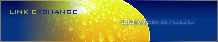 ������� � SEO �����������