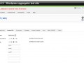 Wordpress Aggregator Ultimate Seo