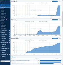 SEO Оптимизация на онлайн сексшоп
