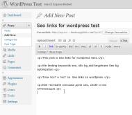Deep Links Test Post in Seo Links for WordPress

