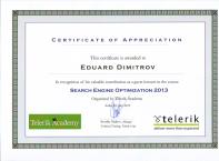 SEO курс 2013 Telerik Academy сертификат

