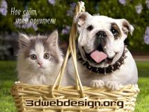 3dwebdesign.org cats and dogs
