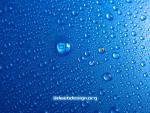3dwebdesign.org drops

